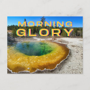 Carte postale du parc national Yellowstone