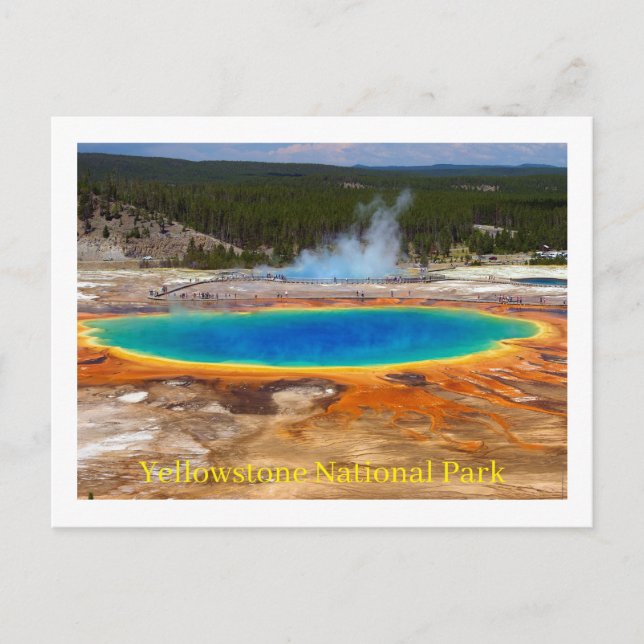 Carte postale du parc national Yellowstone (Devant)