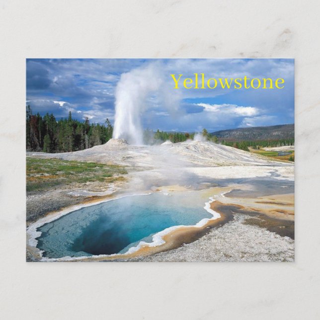 Carte postale du parc national Yellowstone (Devant)
