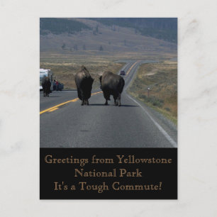 Carte postale du parc national Yellowstone