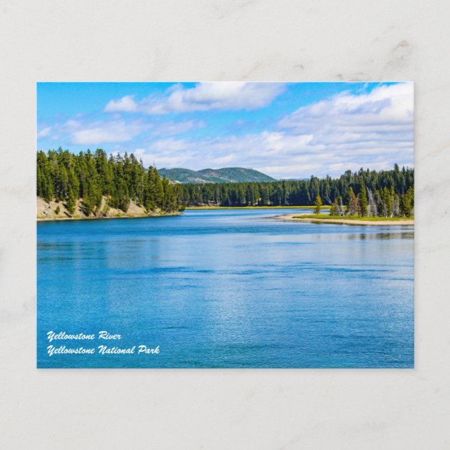 Carte postale du parc national Yellowstone (Devant)