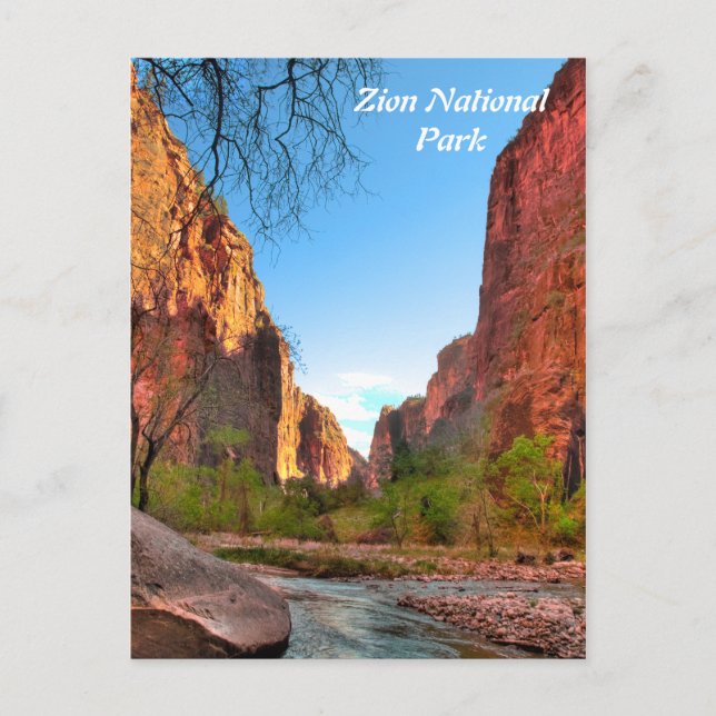 Carte postale du parc national Zion (Devant)