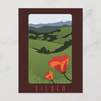 Carte postale du parc régional de Tilden