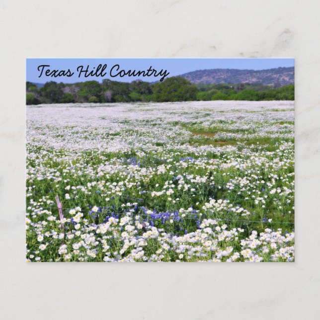 Carte postale du pays de Texas Hill (Devant)