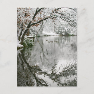 Carte postale du paysage hivernal