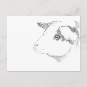 Carte postale du profil de chèvre par Nicole Janes