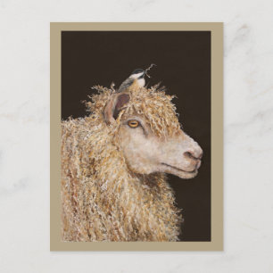 Carte postale du rassembleur de laine