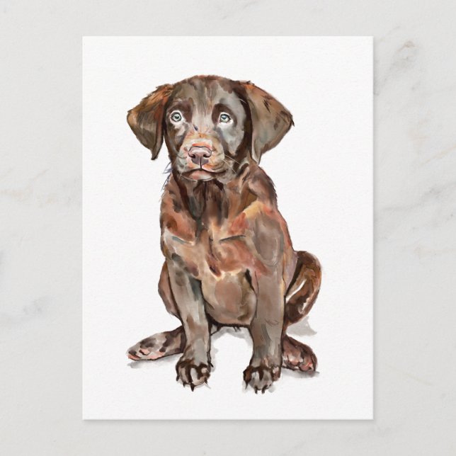 Carte postale du Retriever du Labrador (Devant)