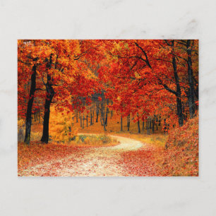 carte postale du sentier des chutes de bois