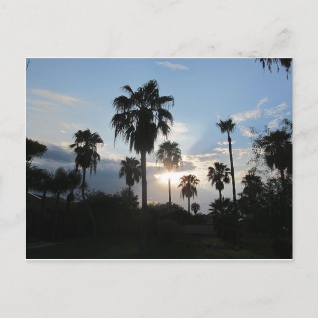 Carte postale du sud de TX (Devant)