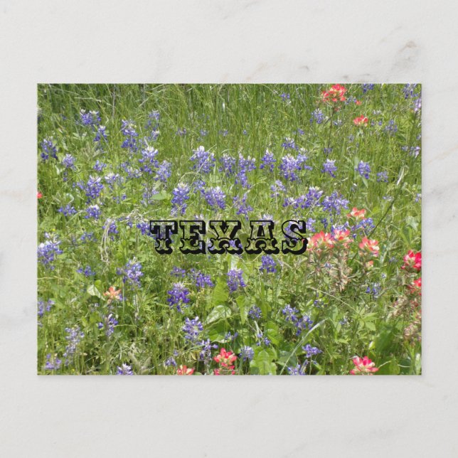 Carte postale du TEXAS (Devant)