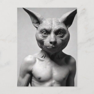 Carte postale du type chat bizarre