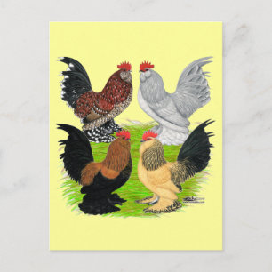 Carte Postale D'Uccles Quatre Coq