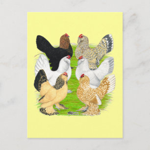 Carte Postale D'Uccles Six Hens