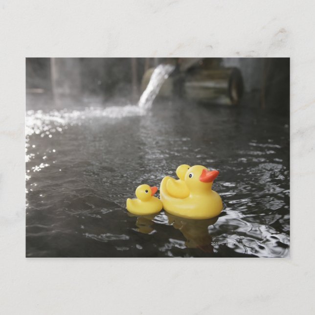 Carte Postale Duckies en caoutchouc japonais (Devant)