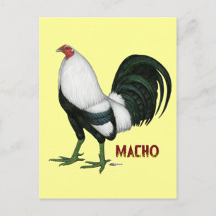 Carte Postale Duckwing Gamecock