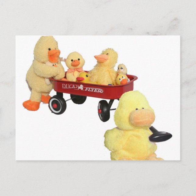 Carte Postale Ducky Flyer (Devant)