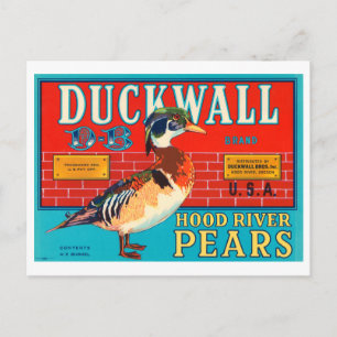 Carte Postale Ducwall Hood River Pears Vintage Étiquette Crate