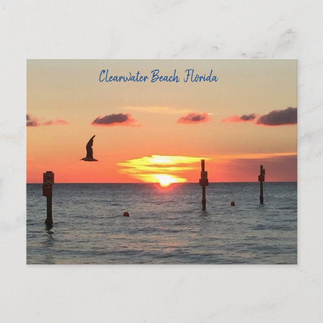 Carte postale d'un coucher de soleil de Clearwater (Devant)