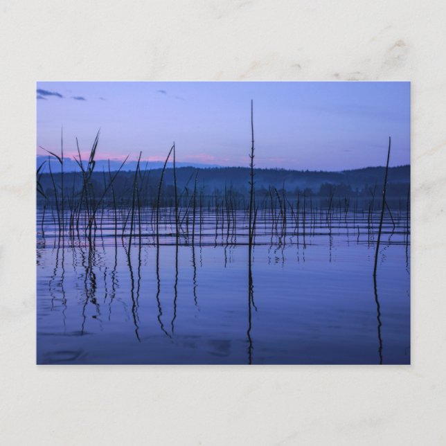 Carte postale d'un lac serein et brumeux après de  (Devant)
