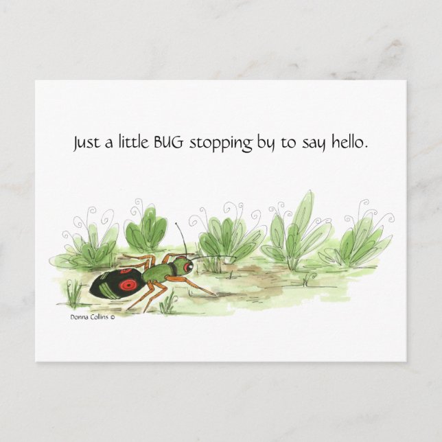 Carte postale d'un petit insecte (Devant)