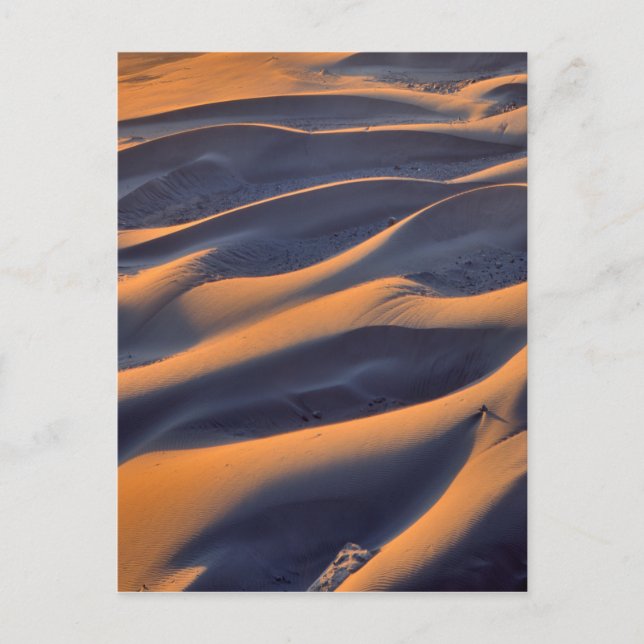 Carte Postale Dune de Sable Abstrait (Devant)