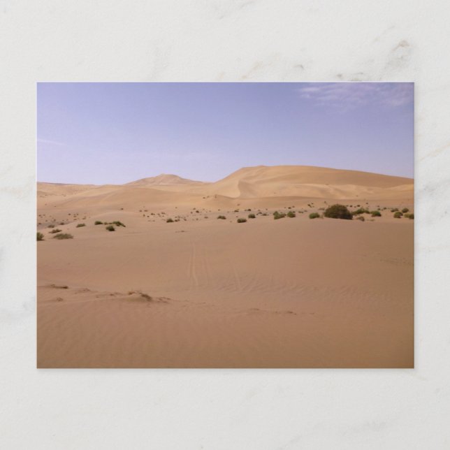 Carte Postale Dune de sable de Gobi (Devant)