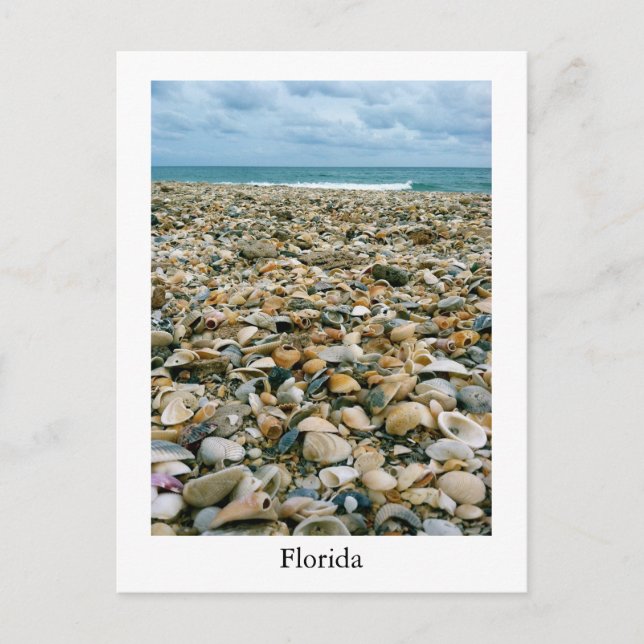 Carte postale d'une plage de Floride, USA avec des (Devant)