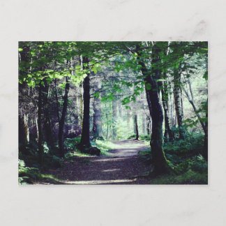 Carte postale d'une promenade de région boisée en