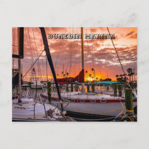 Carte Postale Dunedin Marina Sunset Floride
