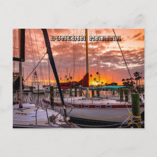 Carte Postale Dunedin Marina Sunset Floride