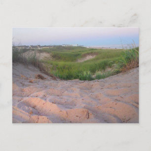 Carte Postale Dunes à Montauk
