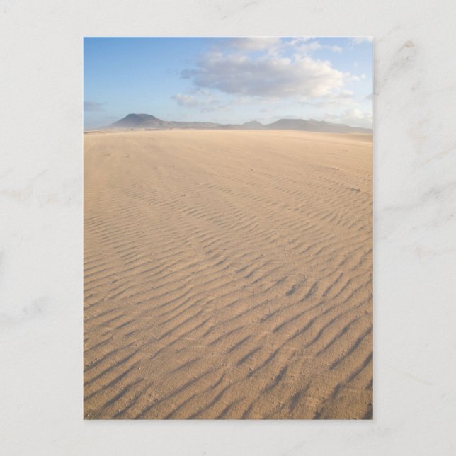 Carte Postale Dunes de Corralejo, Fuerteventura, Îles Canaries (Devant)