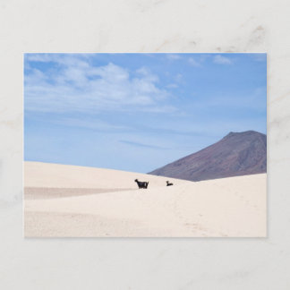 Carte Postale Dunes de Corralejo, Fuerteventura, îles Canaries,