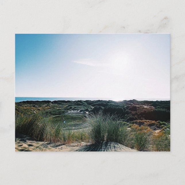 Carte Postale Dunes de Foxton Beach (Devant)