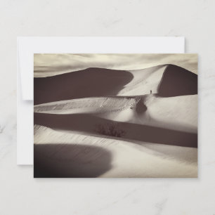 Carte Postale Dunes de sable de Mesquite Vallée de la mort