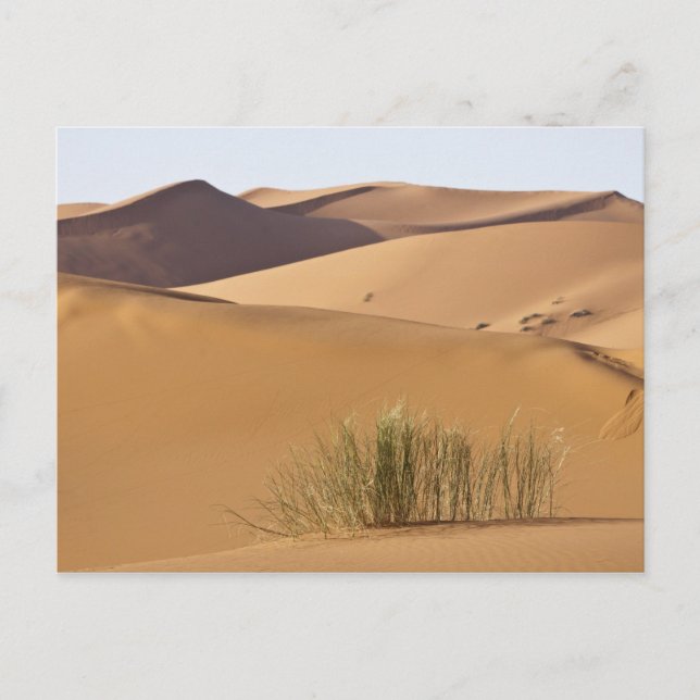 Carte Postale Dunes de sable, désert du Sahara, Maroc (Devant)