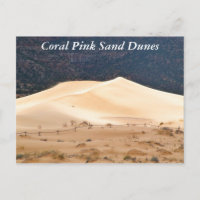Dunes de sable rose corail
