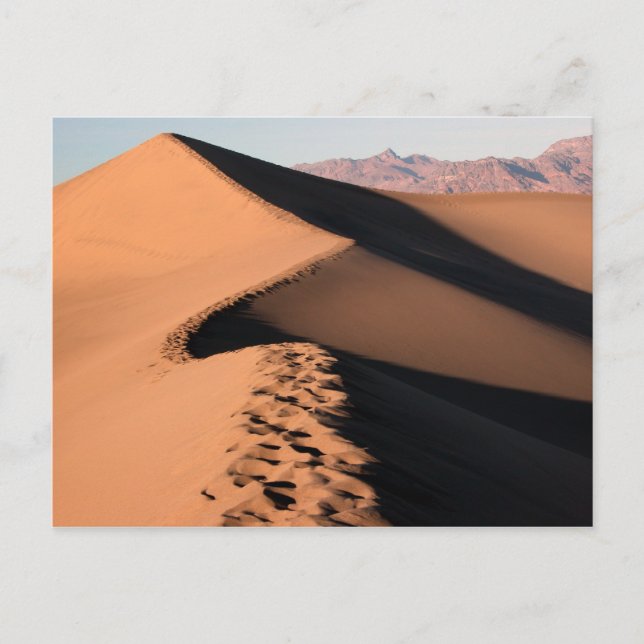 Carte Postale Dunes de sable - Vallée de la mort (Devant)