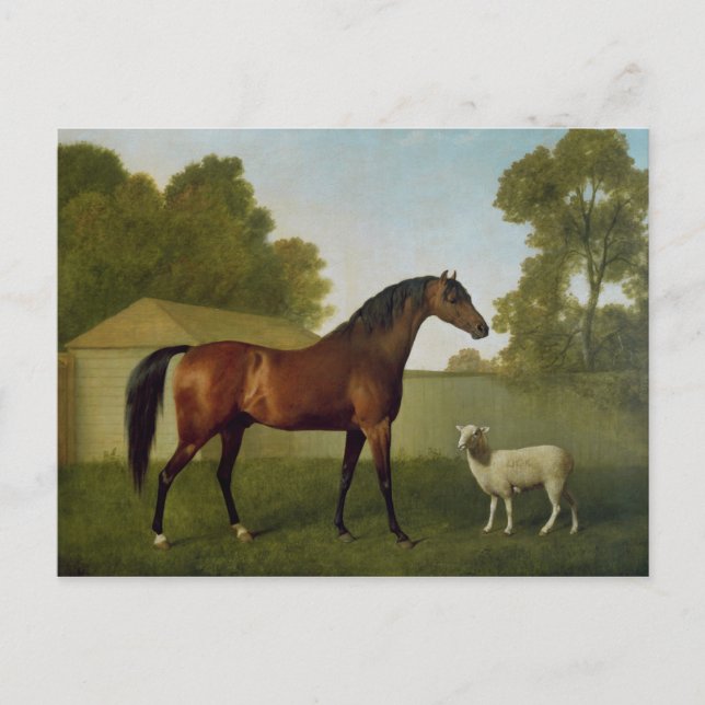 Carte Postale Dungannon, la propriété de colonel O'Kelly (Devant)