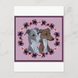 CARTE POSTALE DUO ITALIEN GREYHOUND
