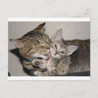 Carte Postale Durée du bain