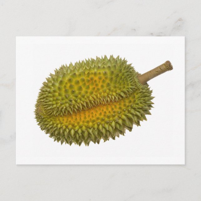 Carte Postale Durian (Devant)