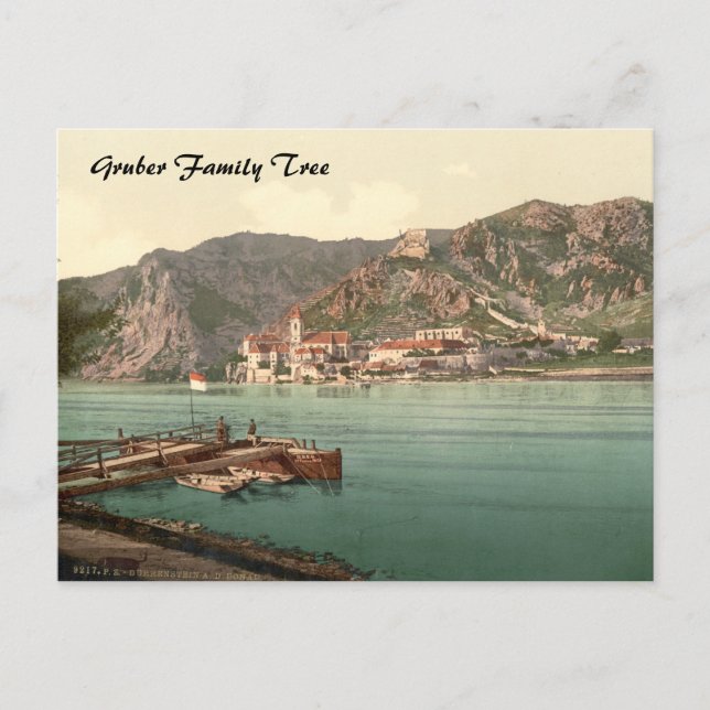 Carte Postale Dürnstein, Autriche Arbre Familial (Devant)