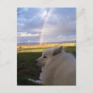 Carte Postale Dusty Charms
