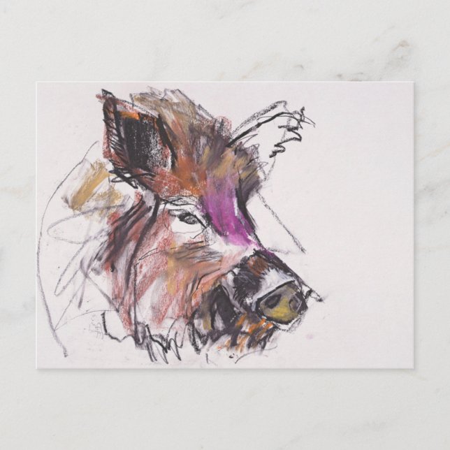 Carte Postale Dzik (Devant)