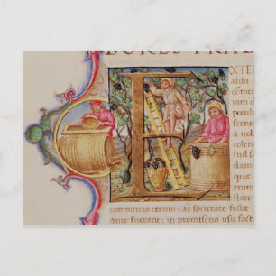 Carte Postale 'E' initial historique représentant la cueillette 