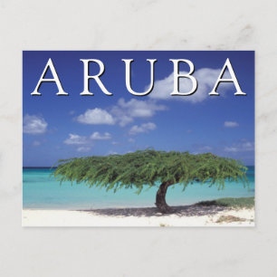 Carte Postale Eagle Beach   Caraïbes, Aruba