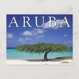 Carte Postale Eagle Beach   Caraïbes, Aruba