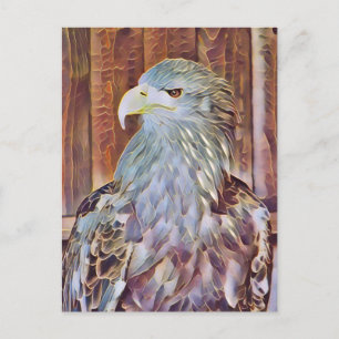 CARTE POSTALE EAGLE DE MER